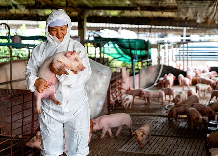 A pesquisa agropecuária lembra aos produtores a importância da biosseguridade- nas questões sanitárias e na produção animal