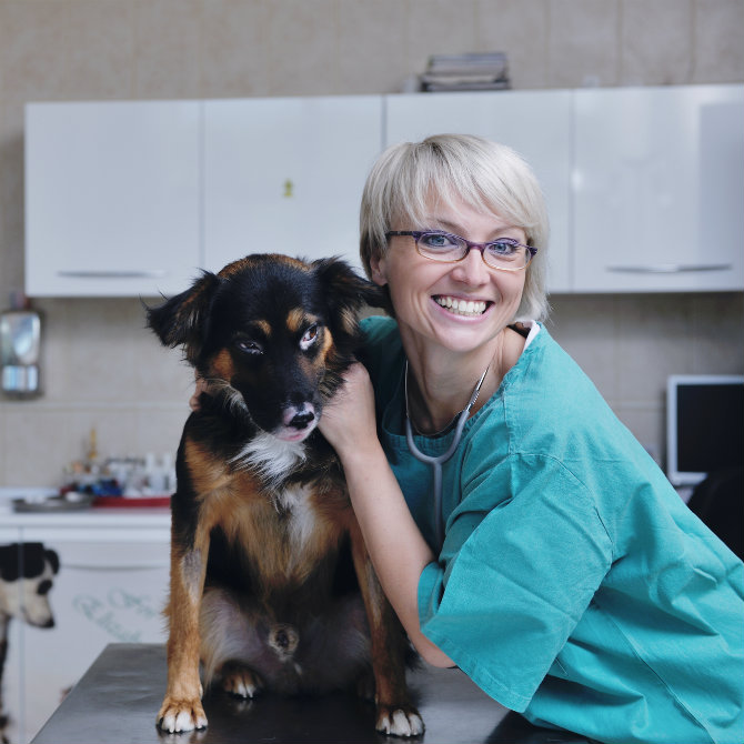 clinica veterinaria