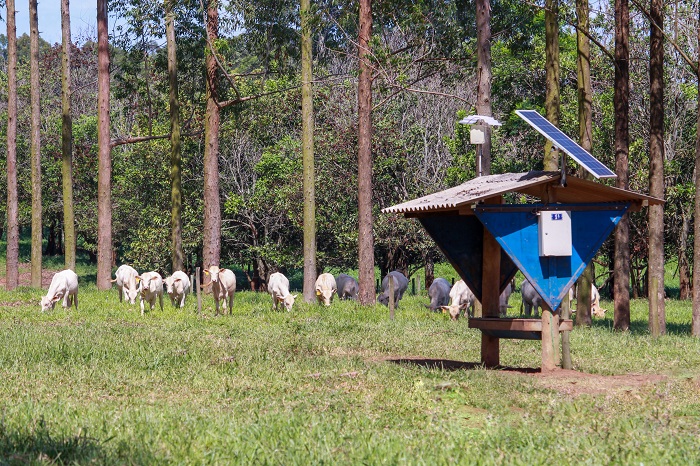 Uso das tecnologias de agricultura e pecuária de precisão