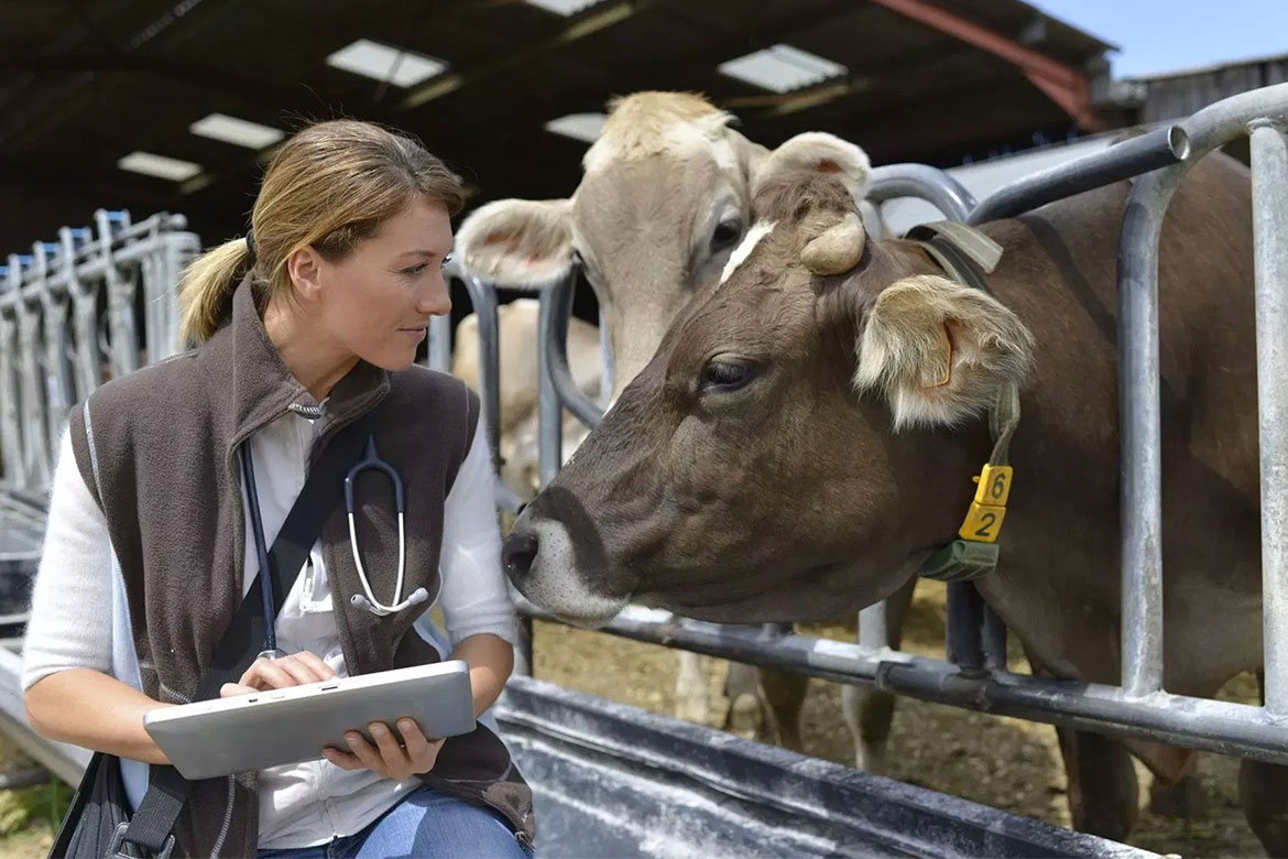 Zootecnistas prestam serviços essenciais para a sociedade