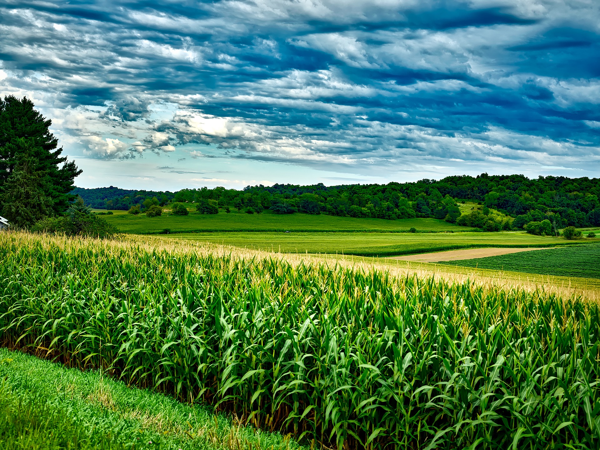 produção agropecuária