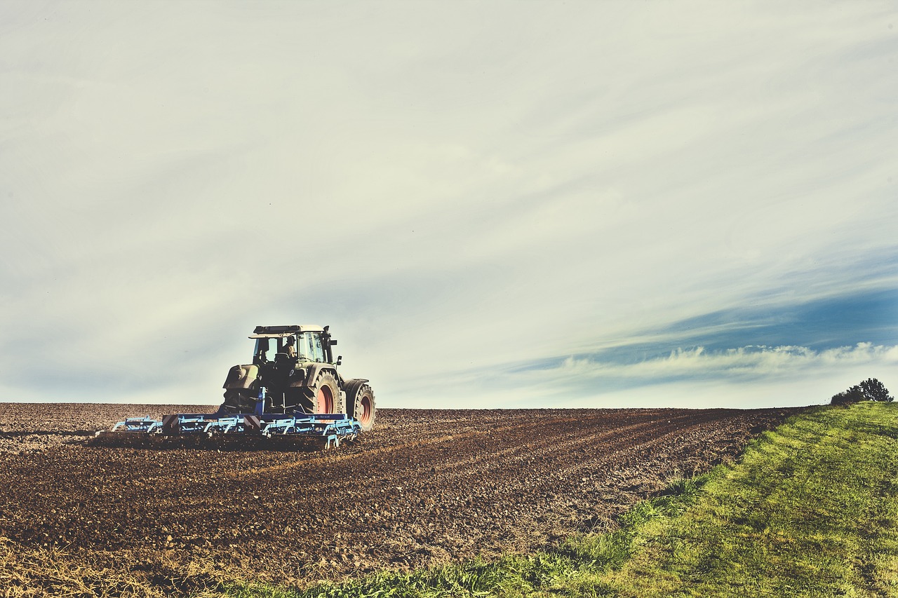 produção agrícola